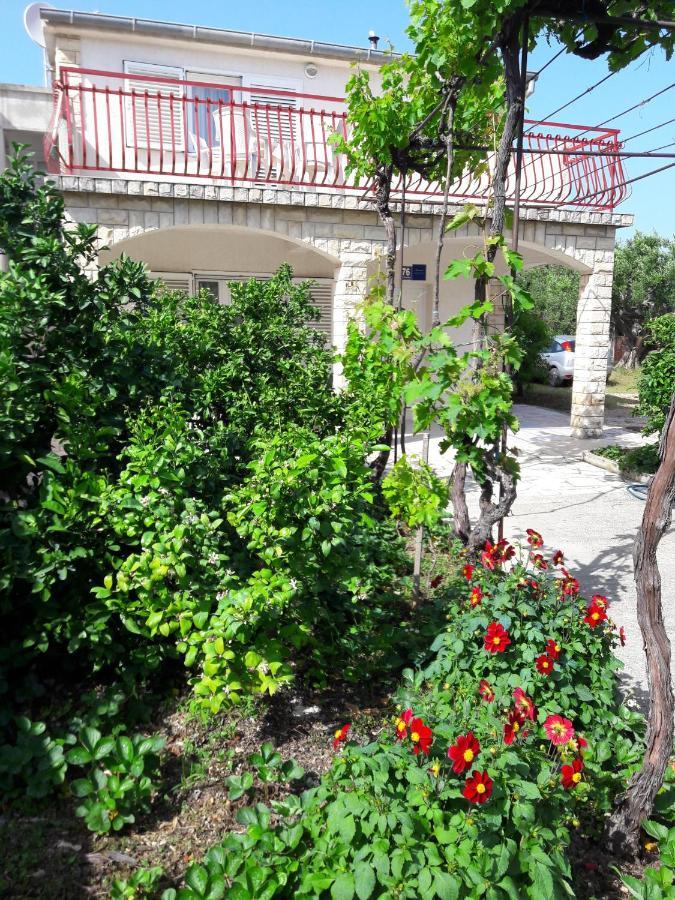 רוגוזניצה Apartment Bise מראה חיצוני תמונה